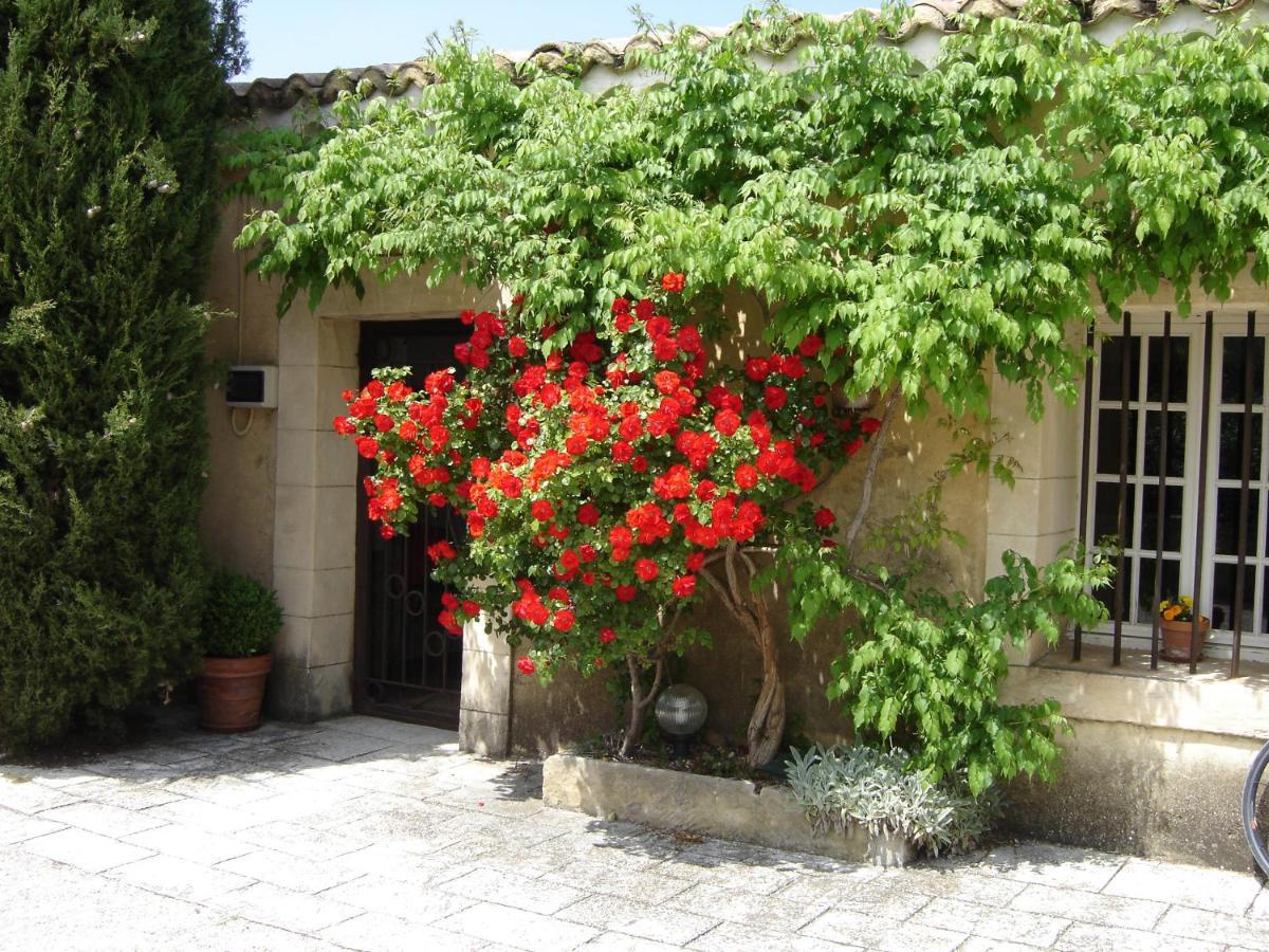 Mas Solige Carpentras Extérieur photo