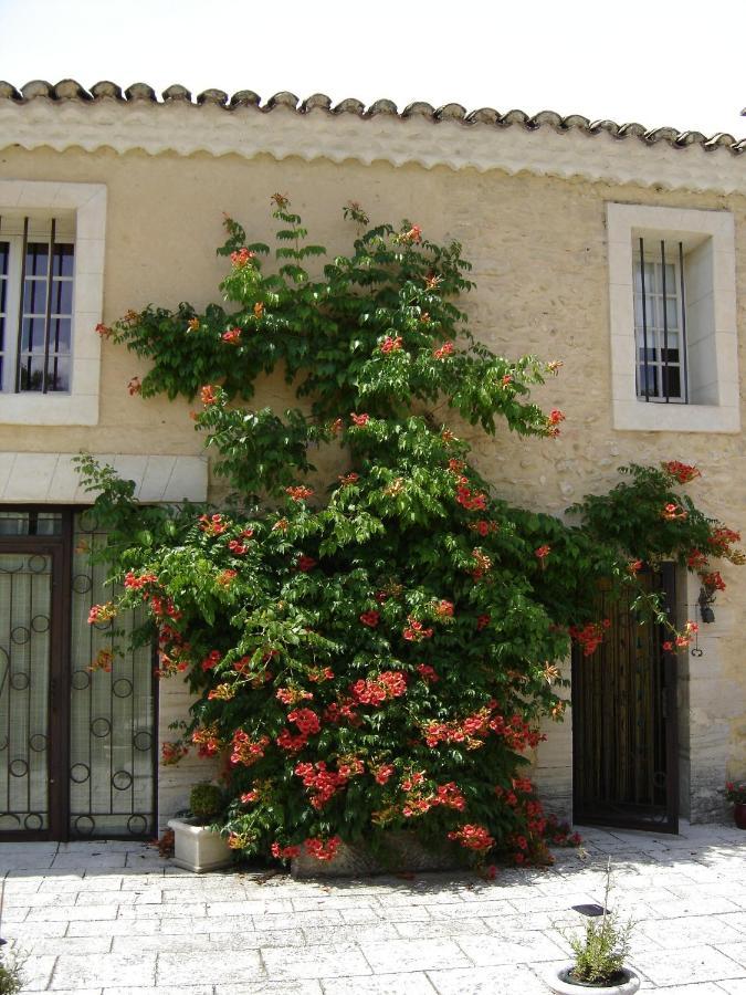 Mas Solige Carpentras Extérieur photo